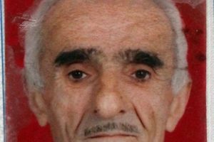 Zeytin ağacından d&uuml;ş&uuml;p &ouml;ld&uuml;