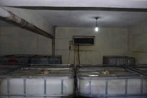 Ka&ccedil;ak akaryakıt operasyonu