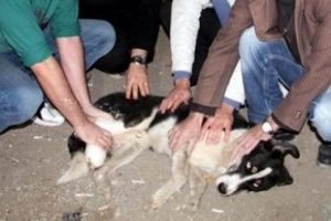 "Yapabilecek bir şey yok"