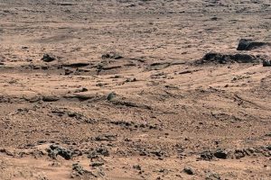 Mars ve Ay'da meyve-sebze yetiştirecek!