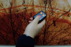 Bursa'da 900 kişi şiddet butonu istedi: 25'i...