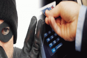 Dolandırıcılara kandı parayı ağacın altına bıraktı