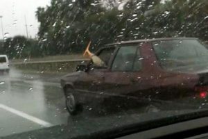 Silecekleri &ccedil;alışmayan otomobille yola &ccedil;ıkınca...
