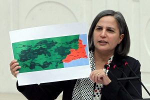 BDP'li Kışanak'ın b&uuml;t&ccedil;e g&ouml;r&uuml;şmeleri konuşması