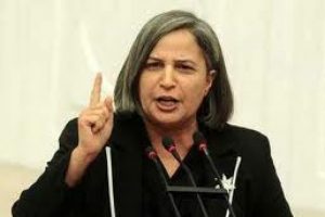 BDP'li Kışanak'tan Uludere eleştirisi