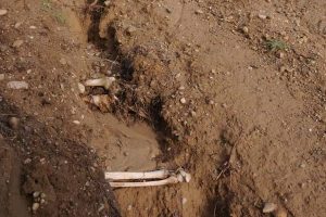 Yağışlar şehit kemiklerini ortaya &ccedil;ıkardı
