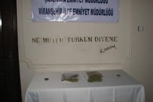 &Ouml;ğrencilere esrar satanlara operasyon: