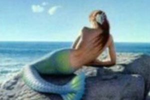 &Ccedil;ocukların sahilde bulduğu deniz kızı