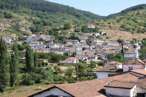 Kıyamet Şirince'yi vurdu