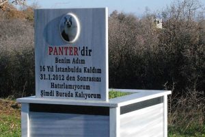 &Ouml;len kedisi i&ccedil;in tarla alıp, mezar yaptırdı