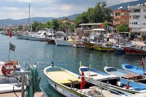 Denizde kalan arsasını demirlerle &ccedil;evirdi
