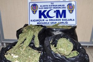 Alanya'da 43 kilo esrar ele ge&ccedil;irildi