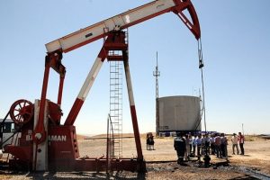 Petrol&uuml;m&uuml;z&uuml;n y&uuml;zde 8'i yerli