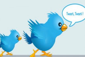 Twitleriniz artık emin ellerde