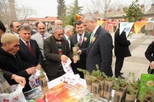 Yılbaşında &ccedil;am katliamını engellemek i&ccedil;in fidan dağıtacaklar