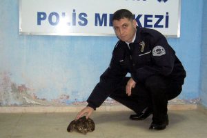 Yaralı doğanı polis memurları tedavi ettirdi