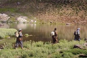 &Ouml;nce T&uuml;rkiye'ye sonra silahlara veda