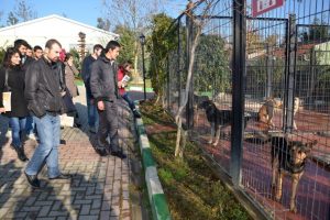 Veteriner adayları barınağı gezdi