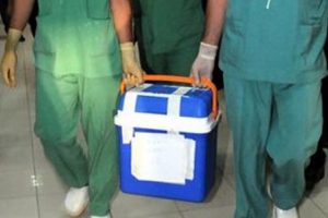 Almanya'da b&uuml;y&uuml;k sağlık skandalı