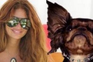 S&uuml;reyya Yal&ccedil;ın k&ouml;peğine bu kez de kayak kıyafeti giydirdi