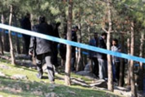 Parkta bomba d&uuml;zeneği bulundu