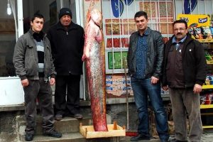 Barajdan 2 metrelik balık &ccedil;ıktı