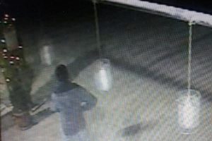 Boyundan b&uuml;y&uuml;k &ccedil;am ağacını &ccedil;almaya &ccedil;alışınca...