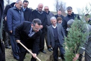 Sel riskine karşı fidan diktiler