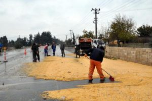 22 ton mısır yola sa&ccedil;ıldı