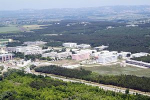 U&Uuml; kozalaklarını satılığa &ccedil;ıkardı