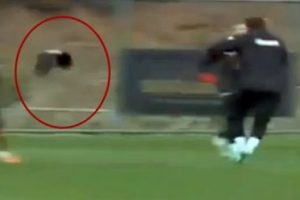 Galatasaray idmanında 'karga' komedisi