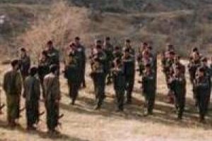 PKK mağaralarında hayvan durmaz