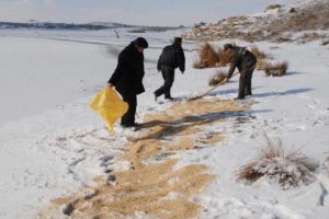 Yaban hayvanlarını unutmadılar