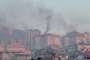 Yasak k&ouml;m&uuml;r&uuml; devlet dağıtıyor
