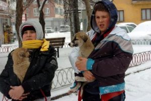 Yavru k&ouml;peklerin imdadına &ccedil;ocuklar yetişti