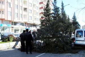 R&uuml;zgar ağa&ccedil;ları yerinden s&ouml;kt&uuml;