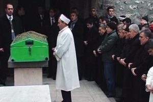 G&uuml;l'den duyarlılık &ouml;rneği