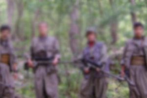 PKK'nın kuruluş kadrosu dağıldı
