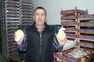 Bursa armudunu Suriye ve mazot vurdu - &Ouml;ZEL HABER
