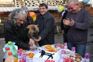 K&ouml;peği i&ccedil;in doğum g&uuml;n&uuml; partisi d&uuml;zenledi