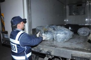 Kamyonundanki 53 kilo esrardan haberi yokmuş