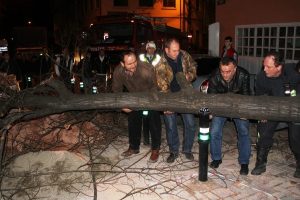 Bursa'da lodos ağa&ccedil;ları yerinden s&ouml;kt&uuml;
