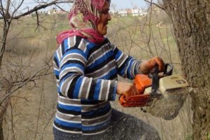 Ağa&ccedil; keserek evini ge&ccedil;indiriyor