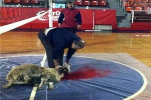 Spor salonunu mezbahaya d&ouml;nd&uuml;rd&uuml;ler!