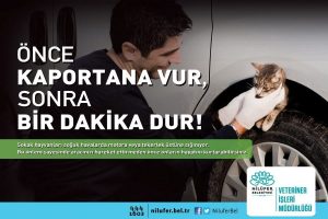 "&Ouml;nce kaportana vur, sonra bir dakika dur"