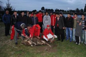 Samsunspor'a kurban kestiler