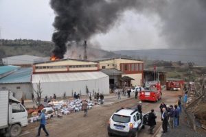 Mobilya fabrikasında korkutan yangın