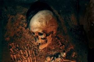 'Neandertaller sanılandan daha erken yok oldu'