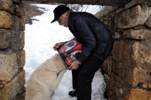 Sokak k&ouml;peğinin zor anları