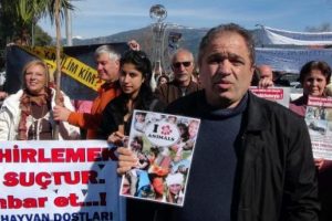 K&ouml;peklerin zehirlenmesi hayvanseverleri ayaklandırdı